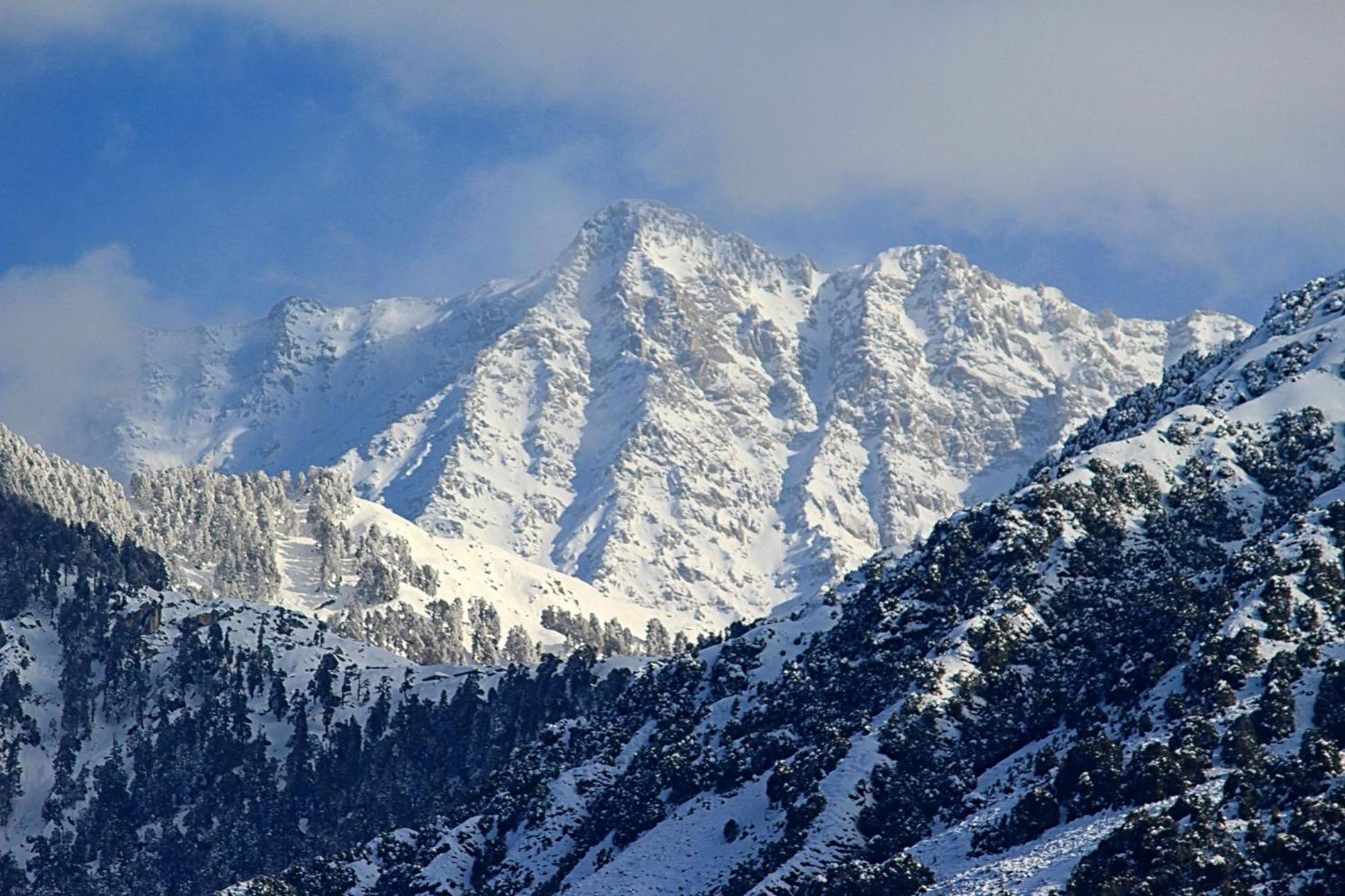 Hotel Bliss Valley Dharamshala - Beautiful View Of Mountains From Rooms Экстерьер фото