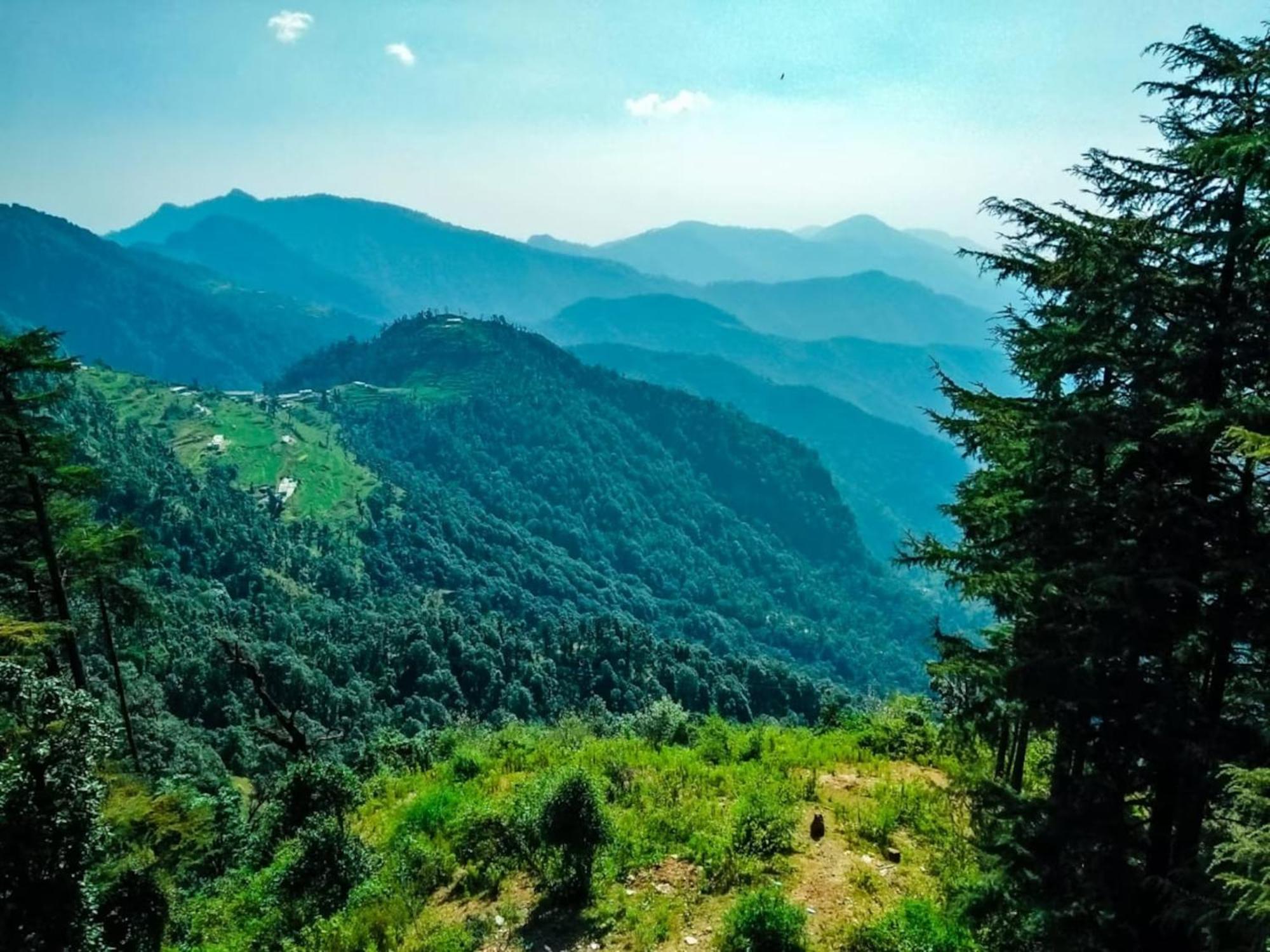 Hotel Bliss Valley Dharamshala - Beautiful View Of Mountains From Rooms Экстерьер фото